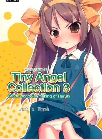 นางฟ้าตัวน้อย Tiny Angel Collection 3 (Suzumiya Haruhi no Yuuutsu)