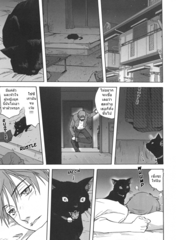 เป็นชั้นได้ซิน่ะ [Mitarashi kousei] Black Cat Crossing