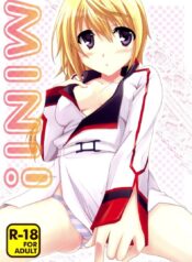 อุปกรณ์ประกอบการเสร็จกิจ [Yamabuki Mook] MINI! (Infinite stratos)