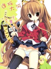 สาวน้อยขี้โมโห (C75) [Essentia (Fujima Takuya)] Hiza Nori Tiger (Toradora!)