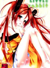แรงยังเหลือ ต่ออีกยาว little rabbit [Black Bullet]