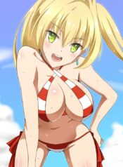 [hara3131] 夜這いネロと水着ネロまとめ